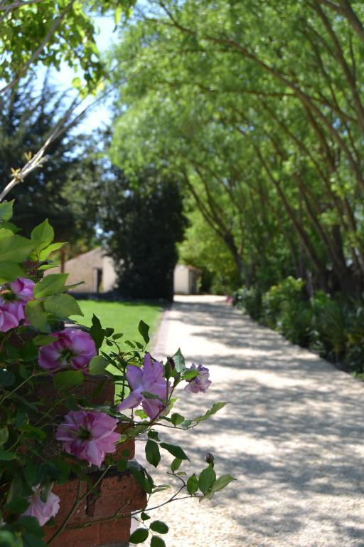 La Loire Fleurie
